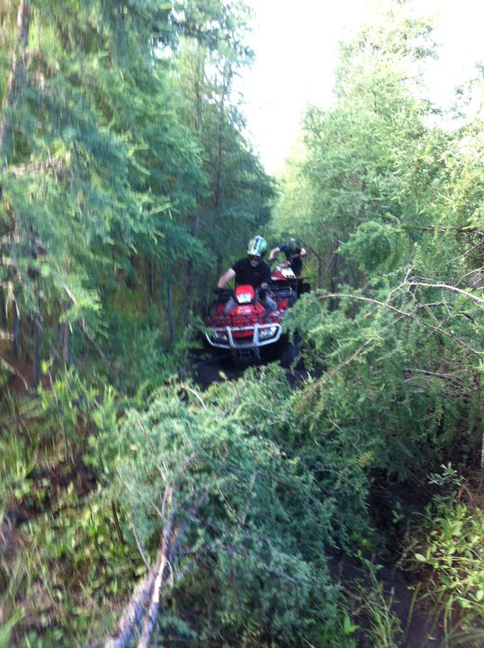 268084_10150227856300443_7559189_n